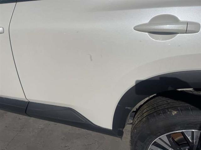 Lr Door Shell