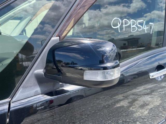 Lf Door Elec Mirror (9 Wire)