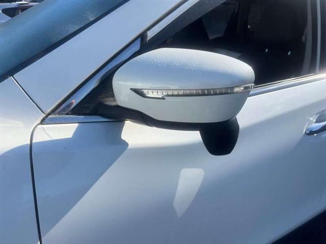 Lf Door Elec Mirror (9 Wire)