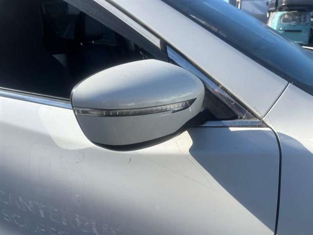 Rf Door Elec Mirror (9 Wire)