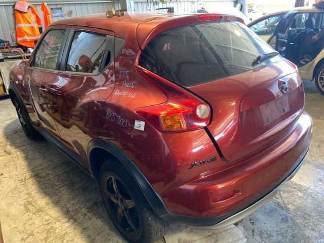 Tailgate Garnish 1 Piece