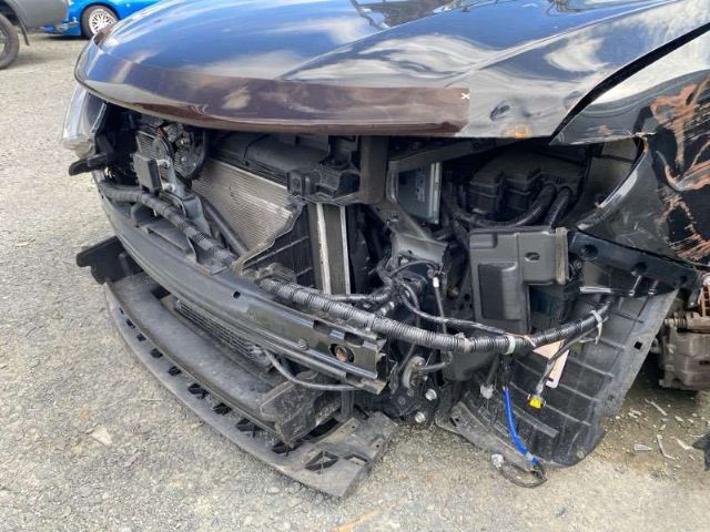 Front Bumper Splash Shield