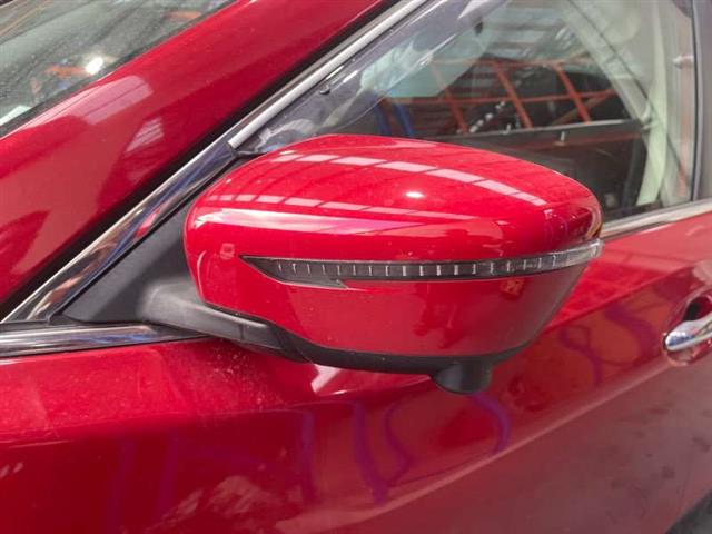 Lf Door Elec Mirror (13 Wire)