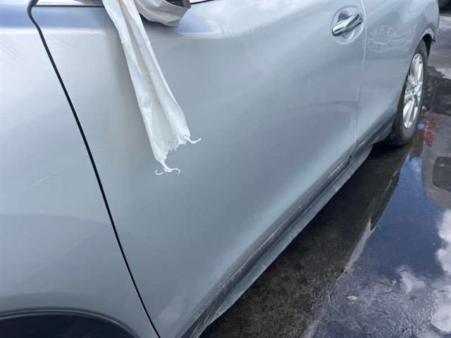 Lf Door Shell