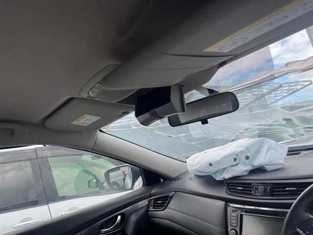 Lh Sunvisor