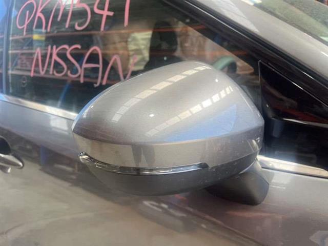 Rf Door Elec Mirror (11 Wire)