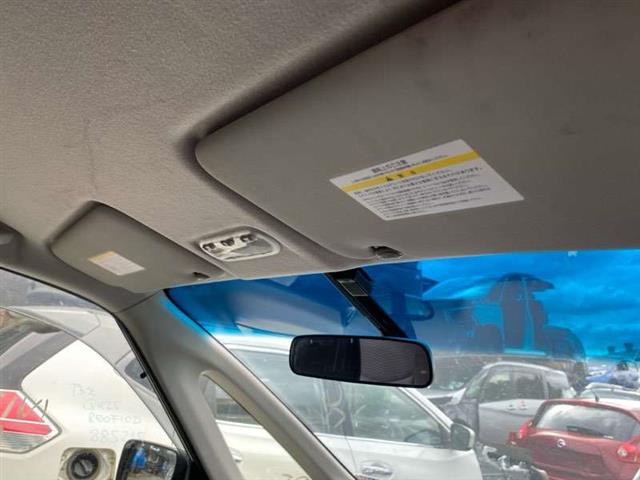 Lh Sunvisor