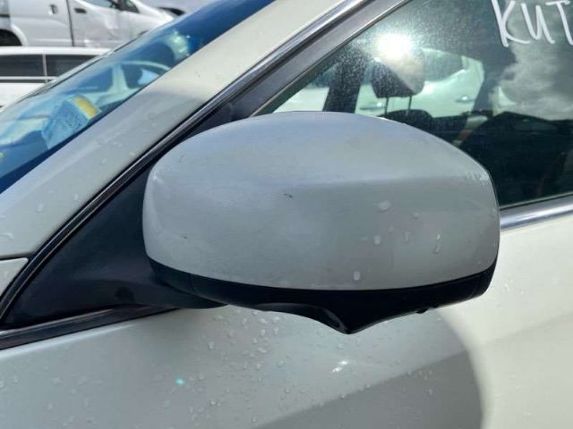 Lf Door Elec Mirror (17 Wire)