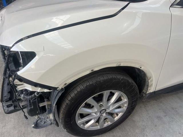 Lf Guard/fender