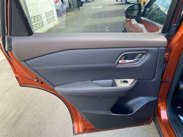Lr Door Trim Elec