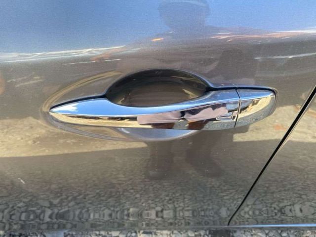 Lf Door Exterior Handle (smart Button) Type