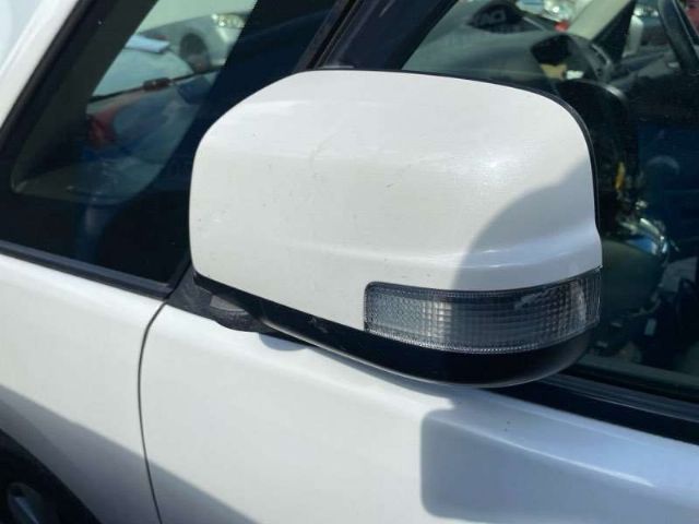 Lf Door Elec Mirror (9 Wire)