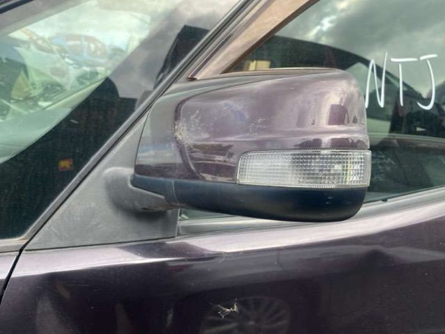 Lf Door Elec Mirror (9 Wire)