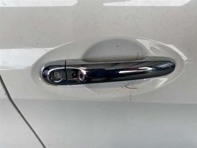 Rf Door Exterior Handle (smart Button) Type