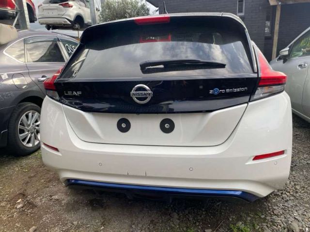 Rear Bumper Moulding