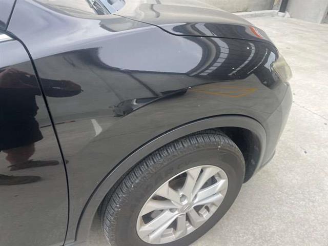 Rf Guard/fender