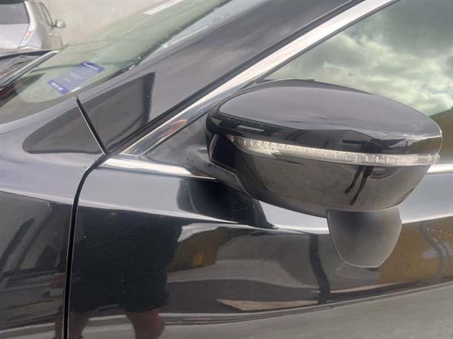 Lf Door Elec Mirror (9 Wire)