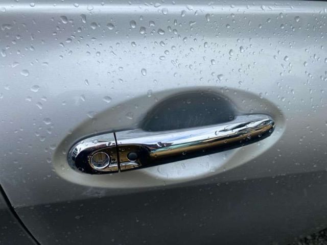 Rf Door Exterior Handle (smart Button) Type