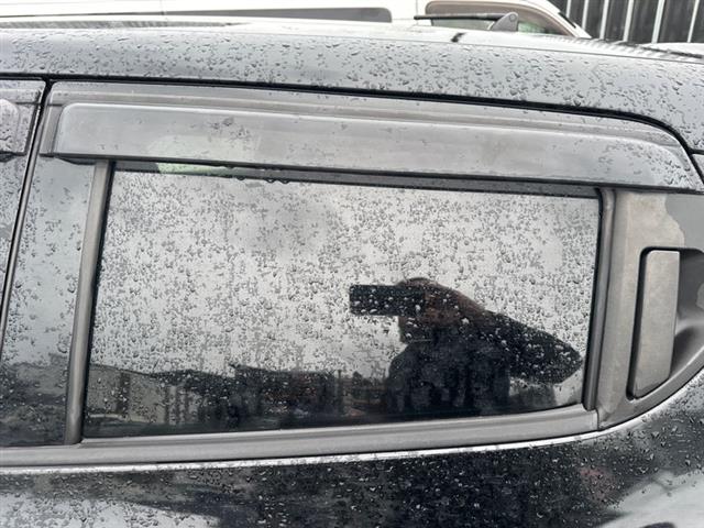 Lr Door Glass