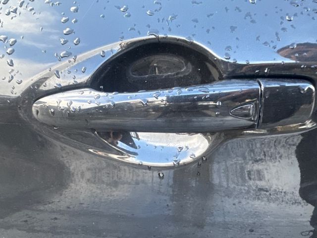 Lf Door Exterior Handle (smart Button) Type