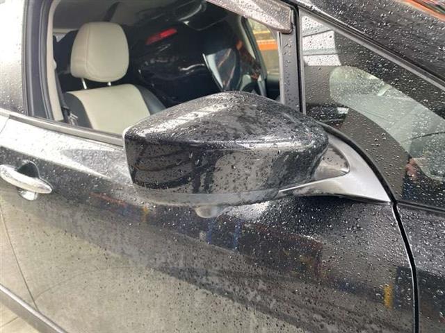 Rf Door Elec Mirror (11 Wire)