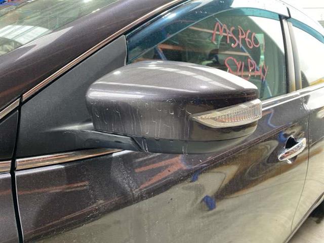 Lf Door Elec Mirror (9 Wire)