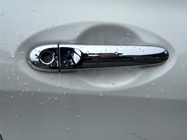 Rf Door Exterior Handle (smart Button) Type