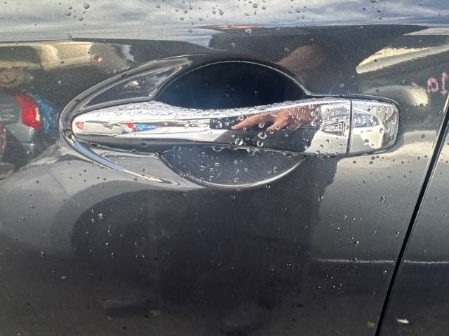 Lf Door Exterior Handle