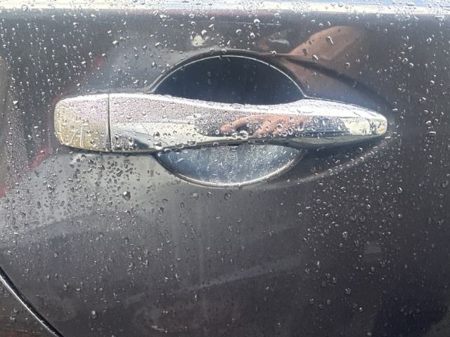 Rr Door Exterior Handle