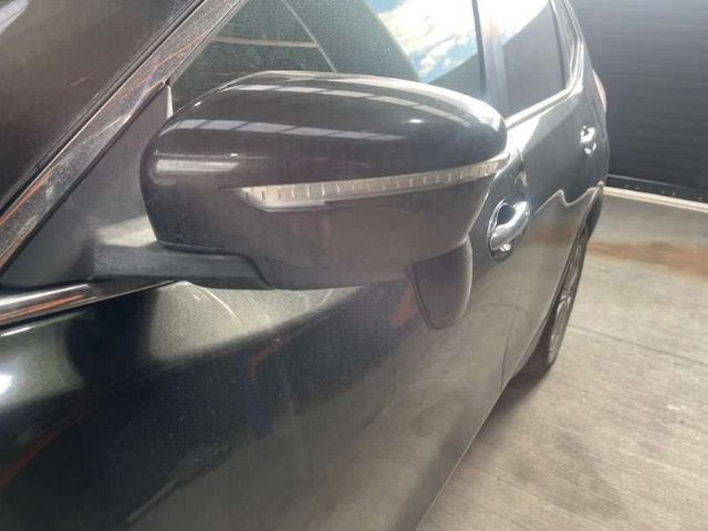 Lf Door Elec Mirror (9 Wire)