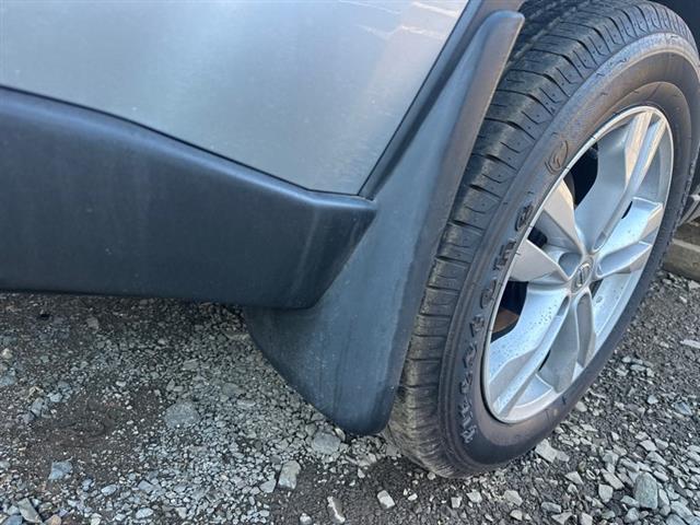Rr Mudflap