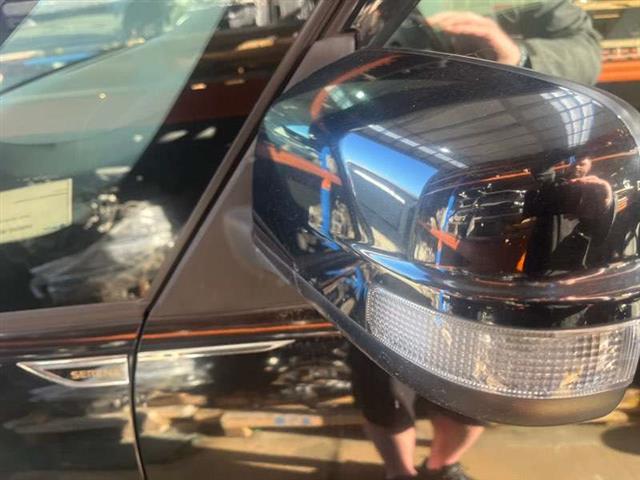 Lf Door Elec Mirror (9 Wire)