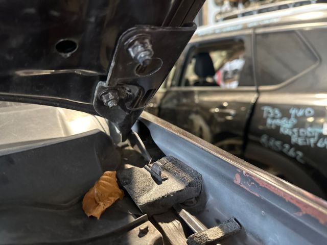 L Bonnet Hinge