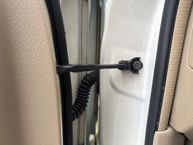 Lf Door Check Strap