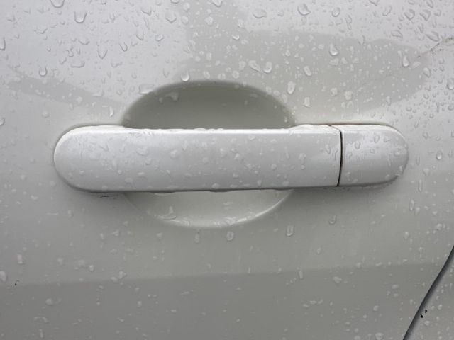 Lr Door Exterior Handle