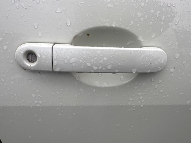 Rf Door Exterior Handle