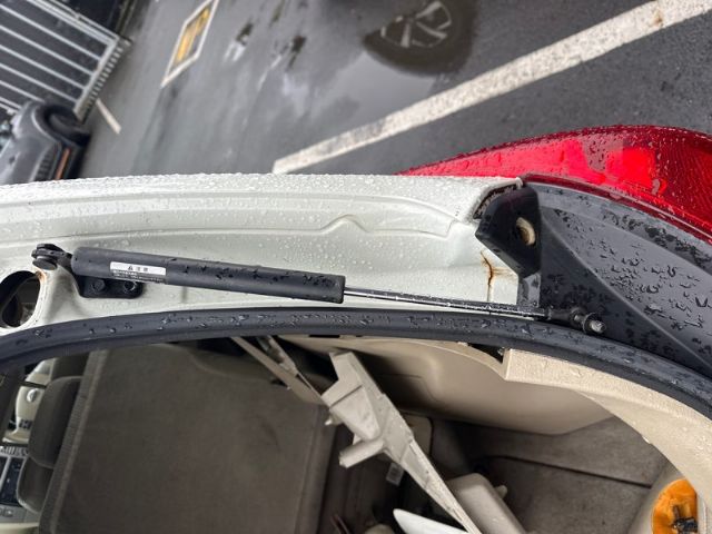 Tailgate Struts (set)