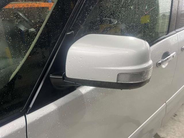 Lf Door Elec Mirror (9 Wire)
