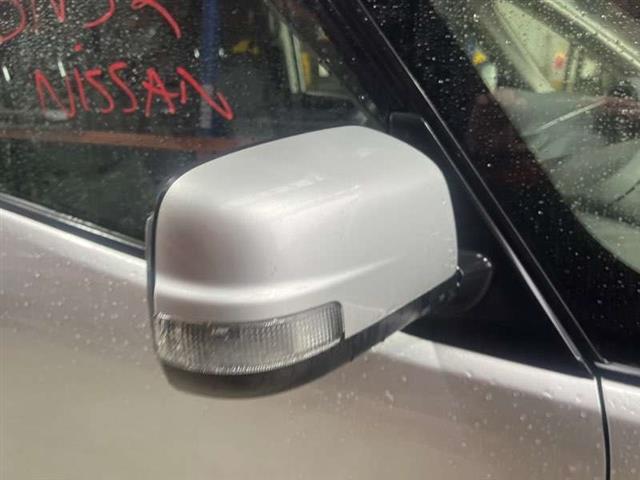 Rf Door Elec Mirror (9 Wire)