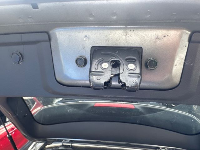 Tailgate Garnish 1 Piece