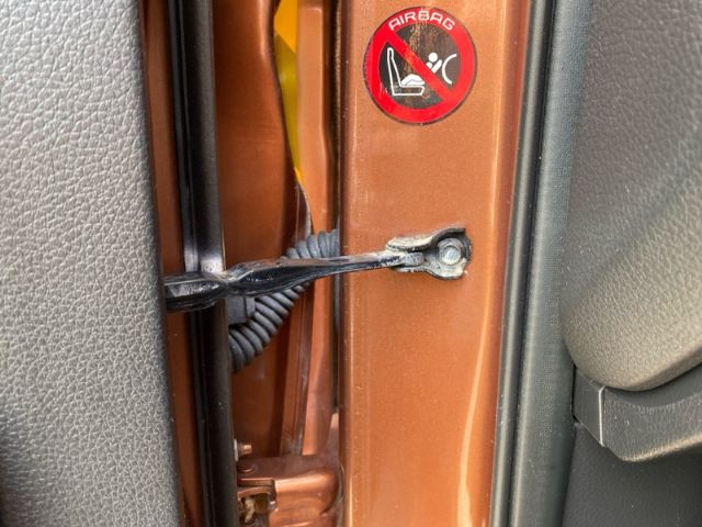 Lf Door Check Strap