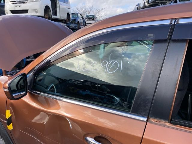 Lf Door Glass
