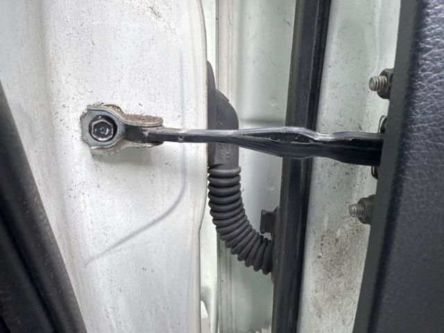 Rf Door Check Strap