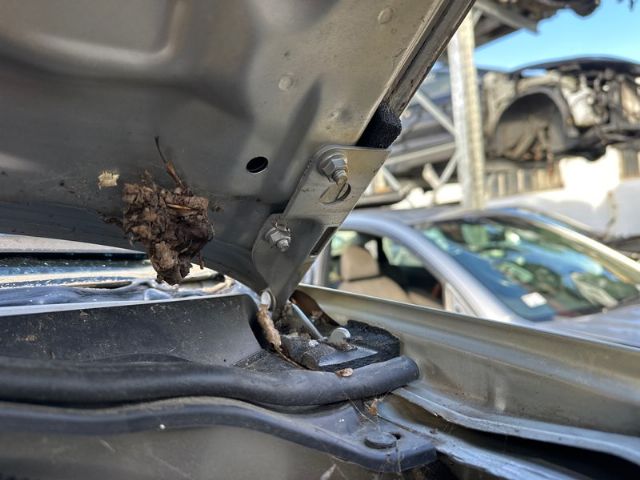 L Bonnet Hinge