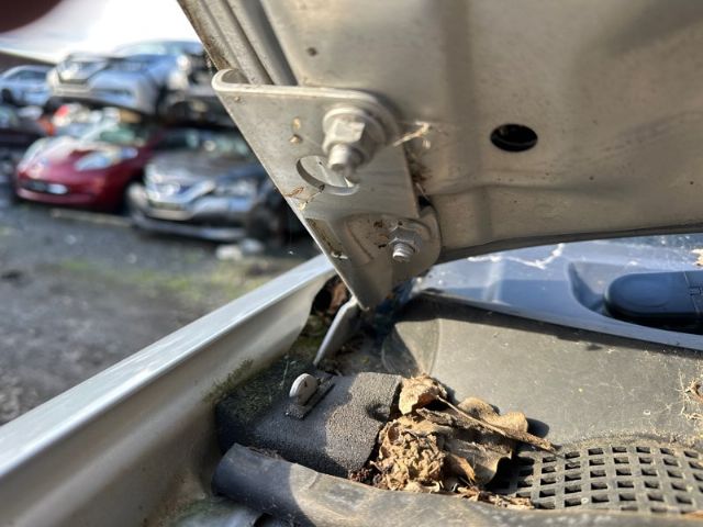 R Bonnet Hinge