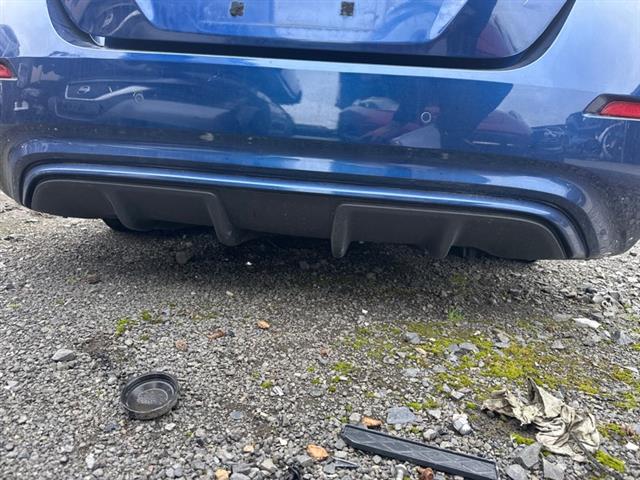 Rear Bumper Moulding