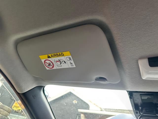 Lh Sunvisor