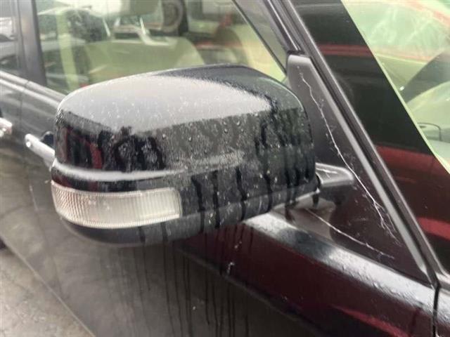 Rf Door Elec Mirror (7 Wire)