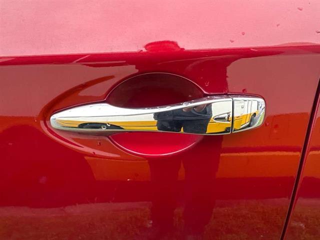 Lf Door Exterior Handle (smart Button) Type