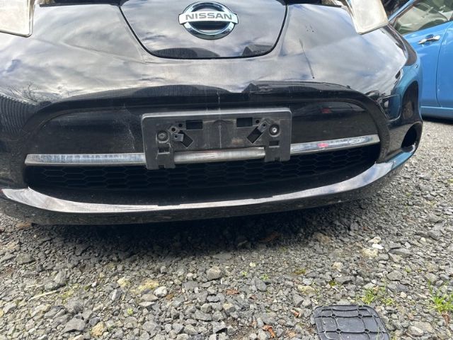 Front Bumper Moulding